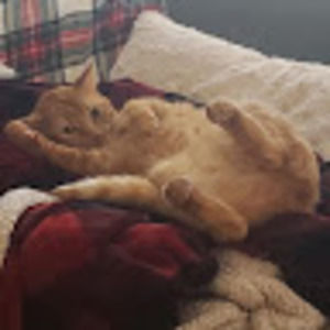 Meet your Posher, Kristen